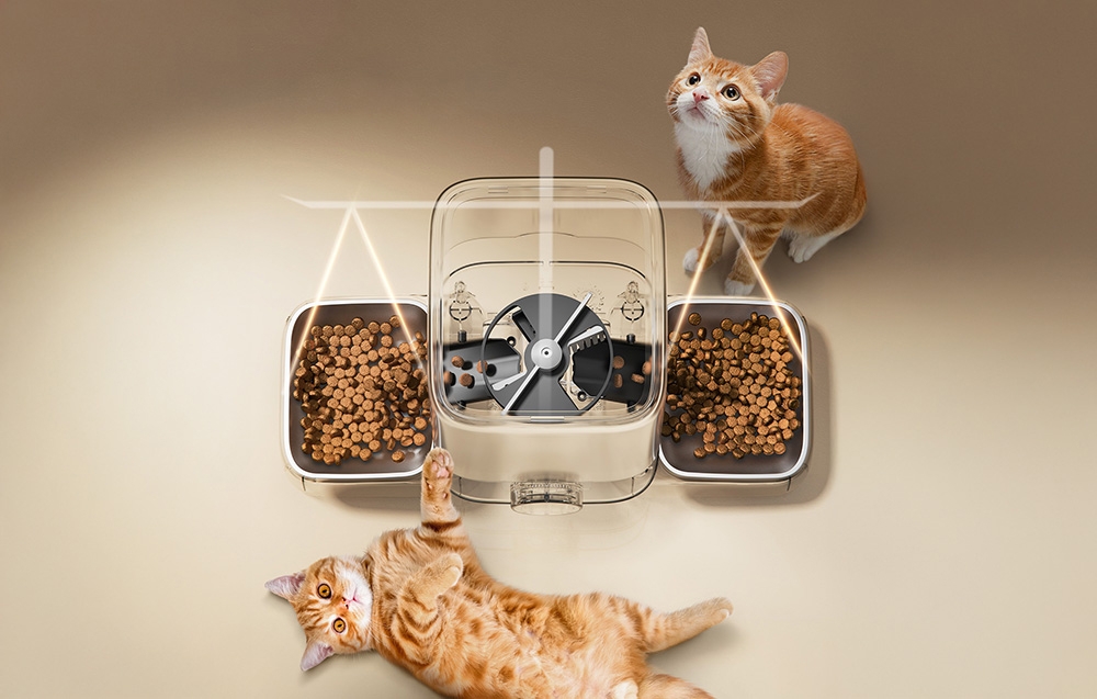 The photo shows 2 ginger cats next to a food dispenser.