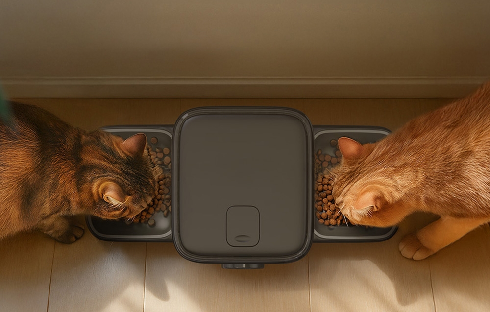 2 cats eating from a double dispenser.