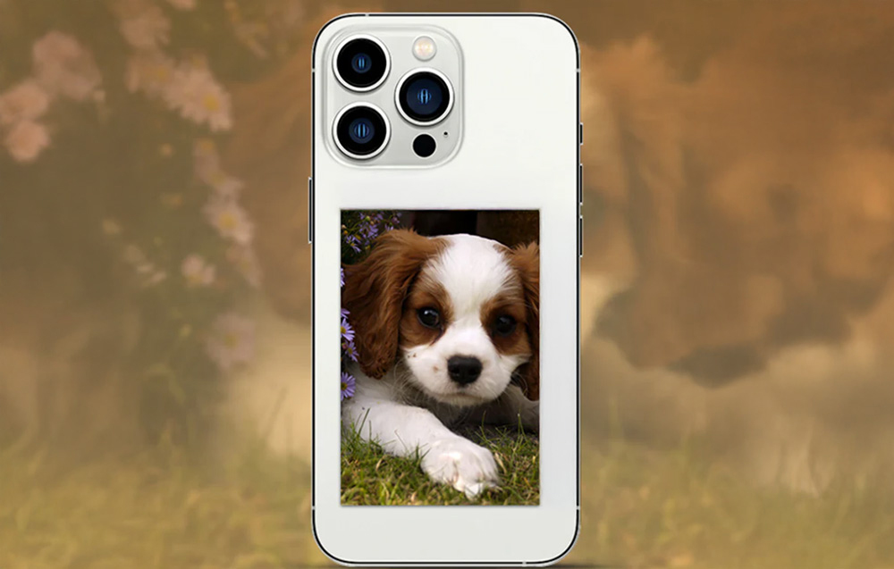 A printed photo of a puppy stuck to the back of a smartphone case