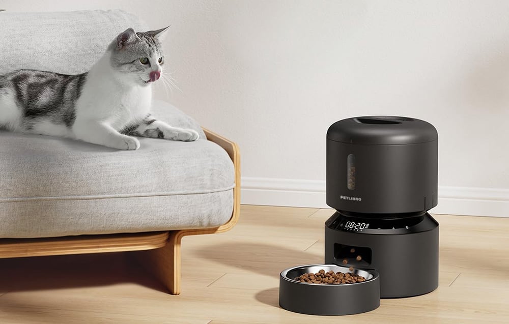 A gray-and-white cat lies on the sofa next to a black automatic feeder with a bowl full of dry food